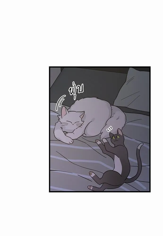 My One and Only Cat ตอนที่ 2532