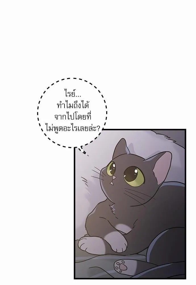 My One and Only Cat ตอนที่ 2534