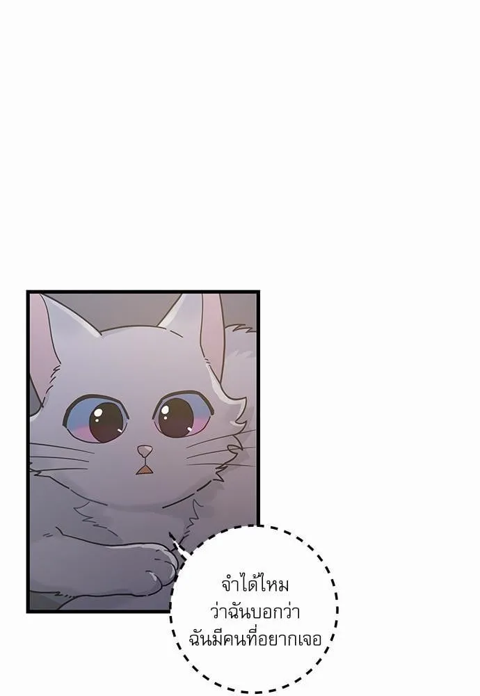 My One and Only Cat ตอนที่ 2535