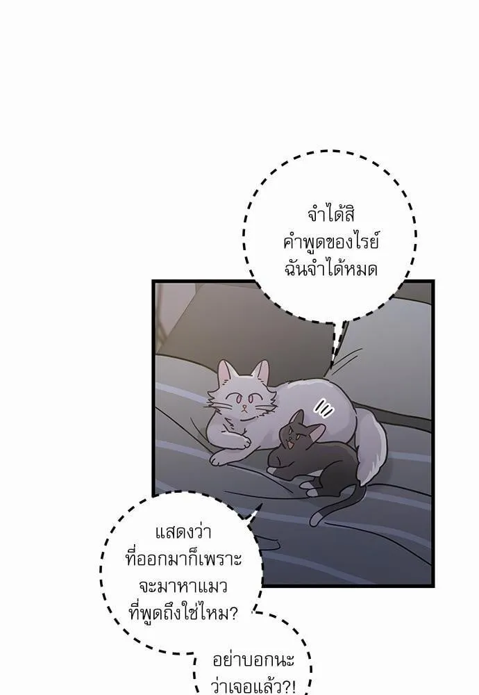 My One and Only Cat ตอนที่ 2536