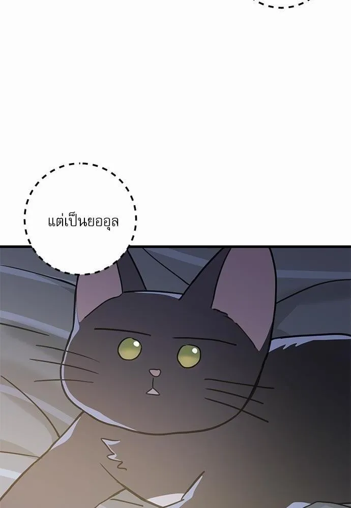 My One and Only Cat ตอนที่ 2538