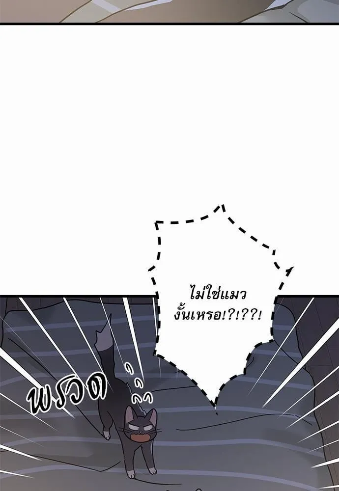 My One and Only Cat ตอนที่ 2539