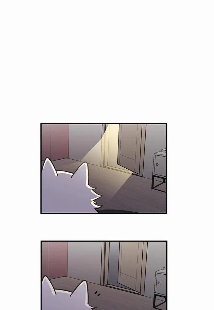 My One and Only Cat ตอนที่ 254 My One and Only Cat ตอนที่ 254