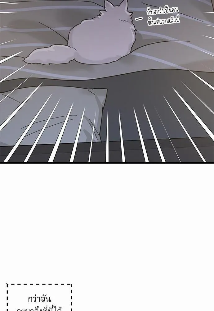 My One and Only Cat ตอนที่ 2540