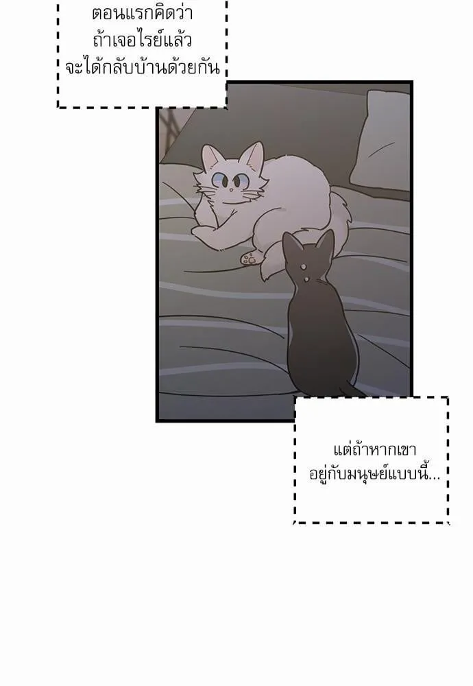 My One and Only Cat ตอนที่ 2542