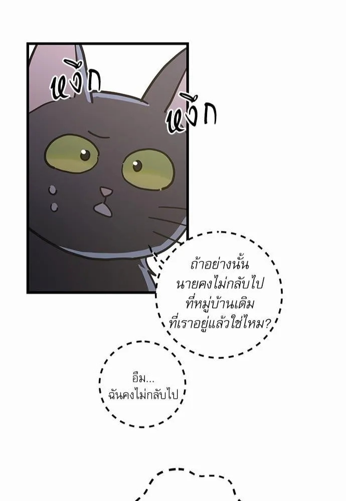 My One and Only Cat ตอนที่ 2543