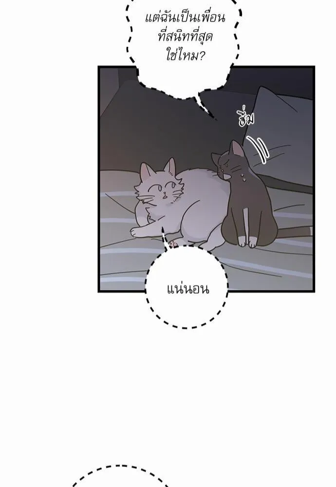 My One and Only Cat ตอนที่ 2544