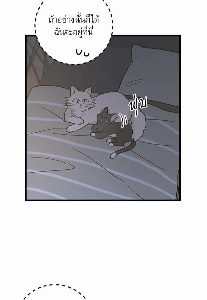 My One and Only Cat ตอนที่ 2545