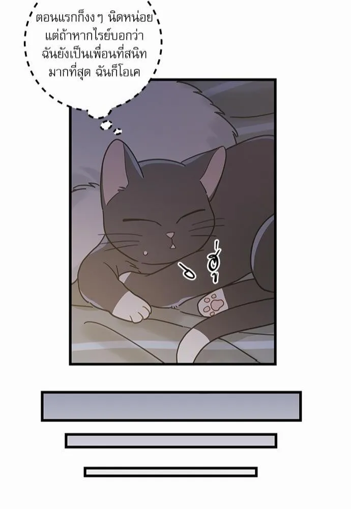 My One and Only Cat ตอนที่ 2546