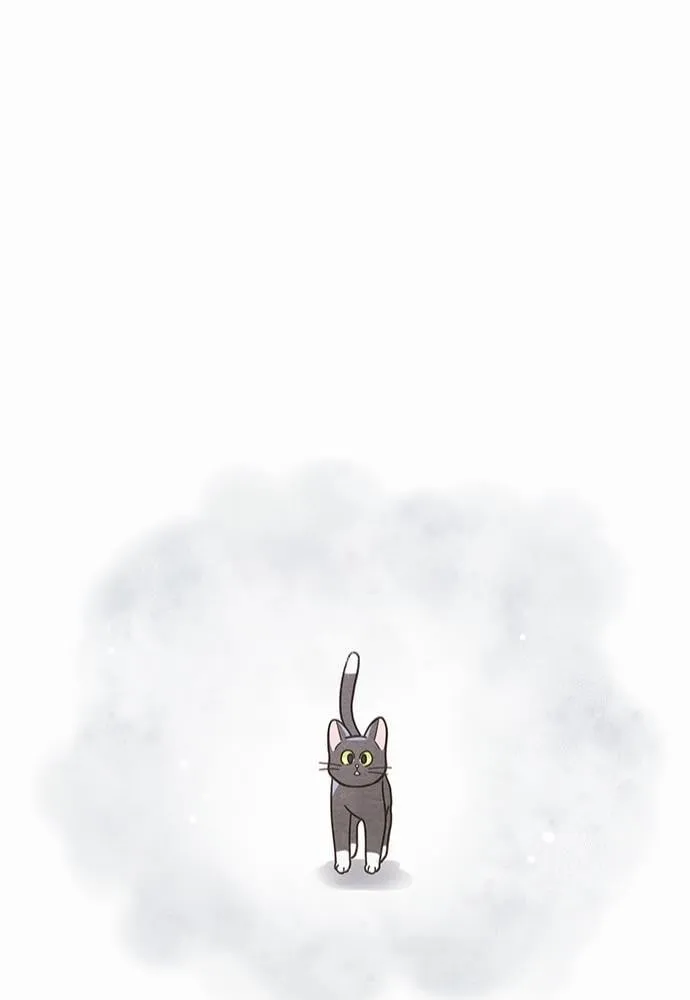 My One and Only Cat ตอนที่ 2547