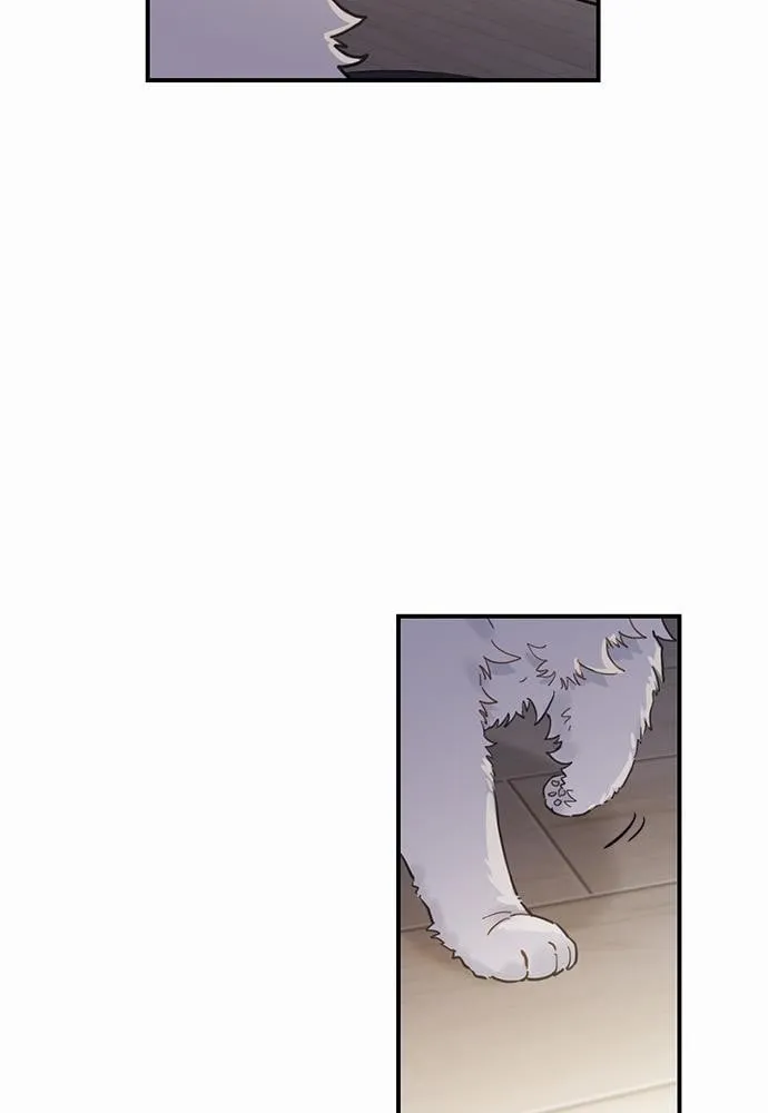 My One and Only Cat ตอนที่ 255 My One and Only Cat ตอนที่ 255