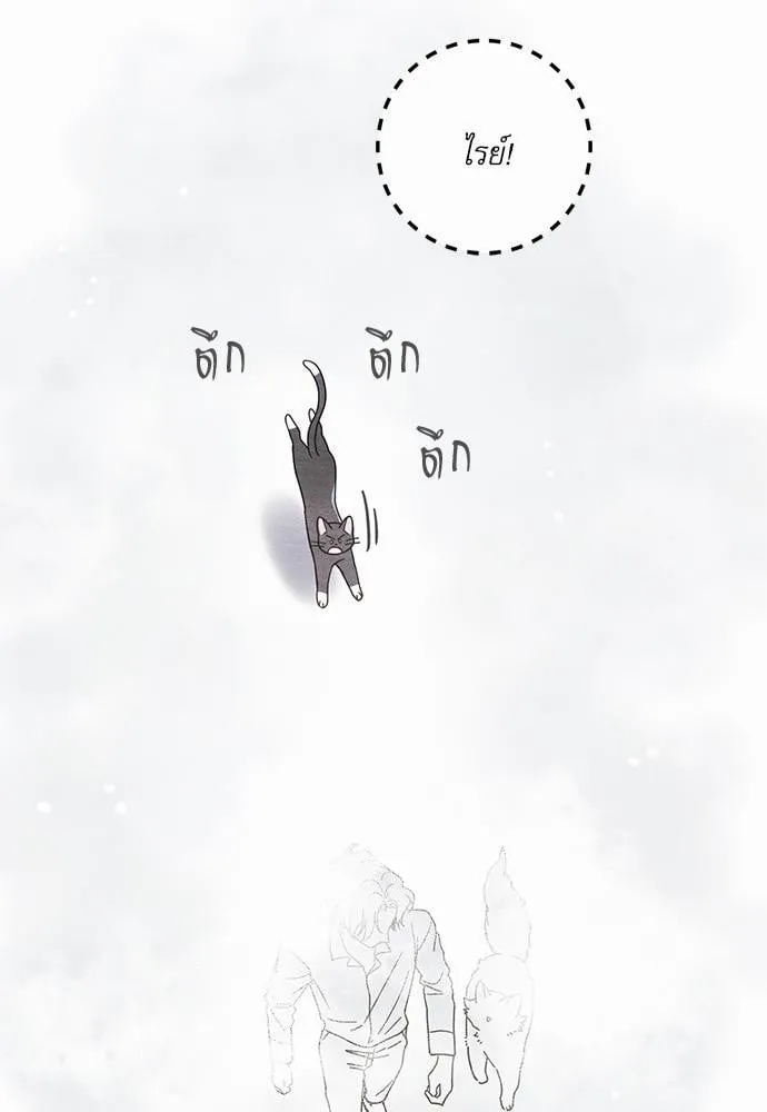 My One and Only Cat ตอนที่ 2551