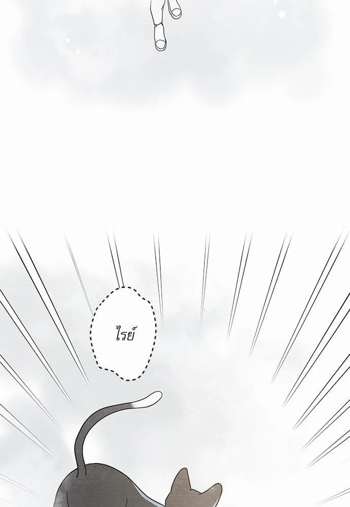 My One and Only Cat ตอนที่ 2552