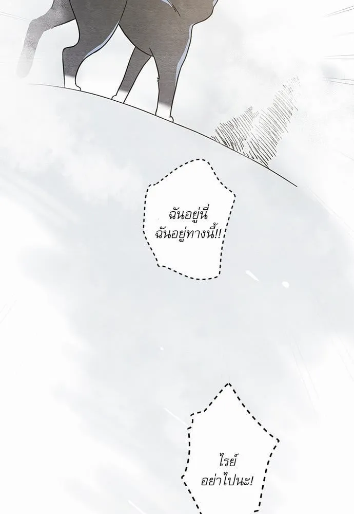 My One and Only Cat ตอนที่ 2553