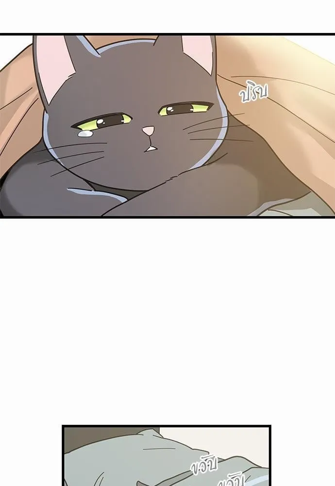 My One and Only Cat ตอนที่ 2555