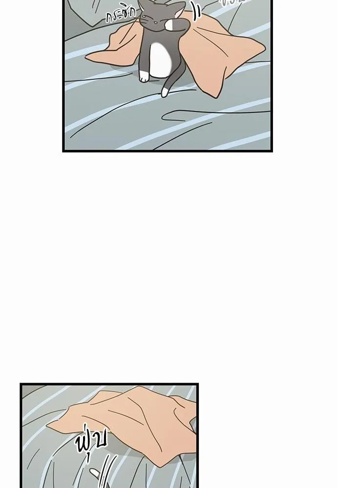 My One and Only Cat ตอนที่ 2556