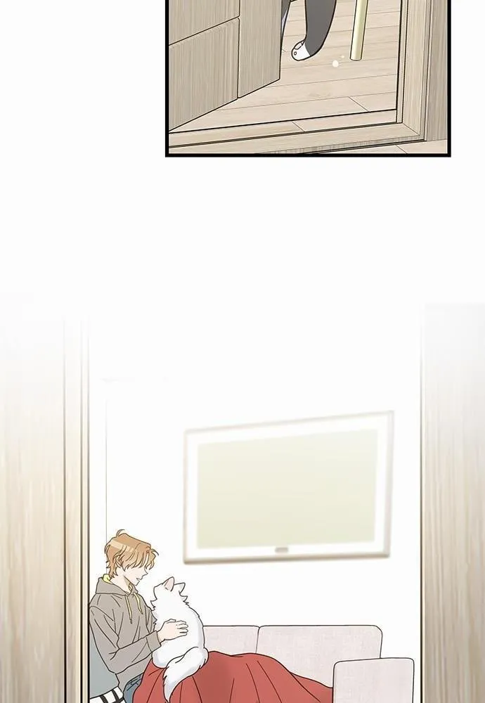 My One and Only Cat ตอนที่ 2558