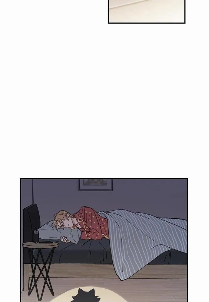 My One and Only Cat ตอนที่ 256 My One and Only Cat ตอนที่ 256