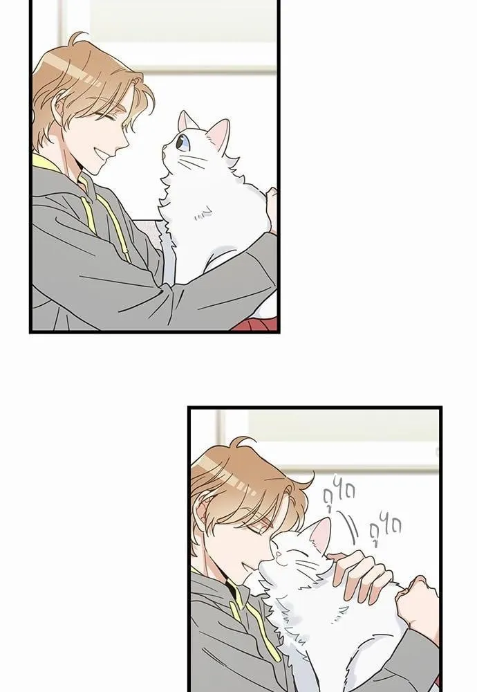 My One and Only Cat ตอนที่ 2560