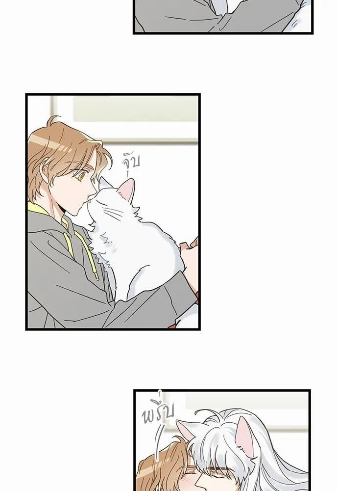 My One and Only Cat ตอนที่ 2561