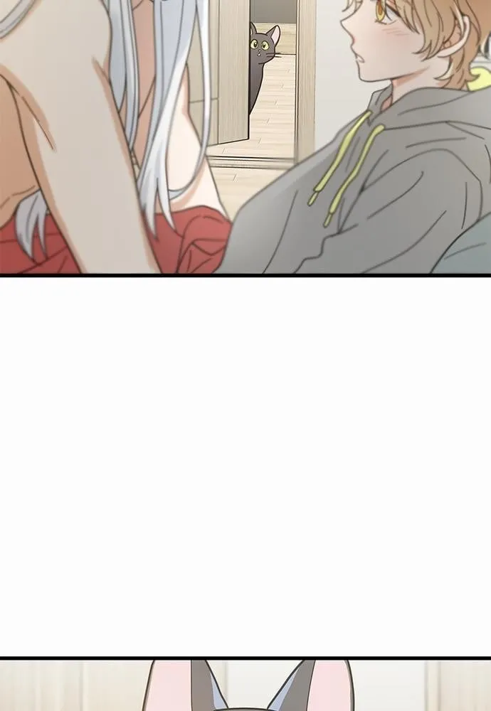 My One and Only Cat ตอนที่ 2563