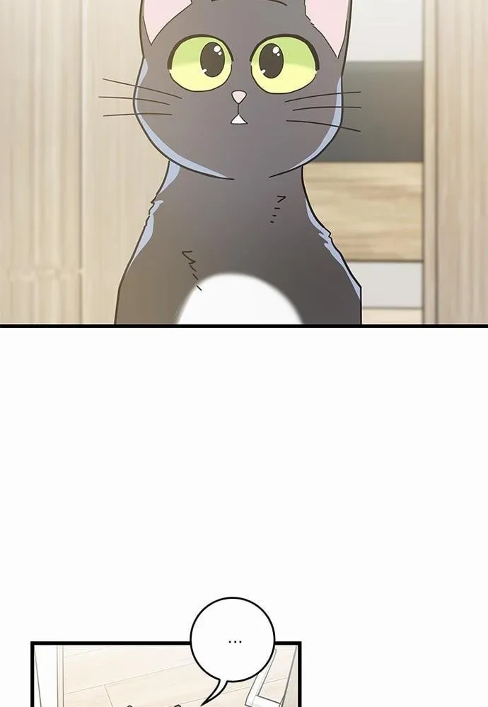 My One and Only Cat ตอนที่ 2564