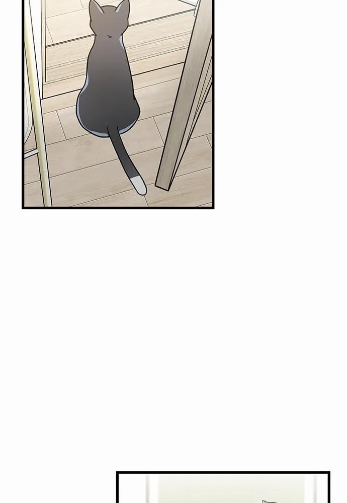 My One and Only Cat ตอนที่ 2565