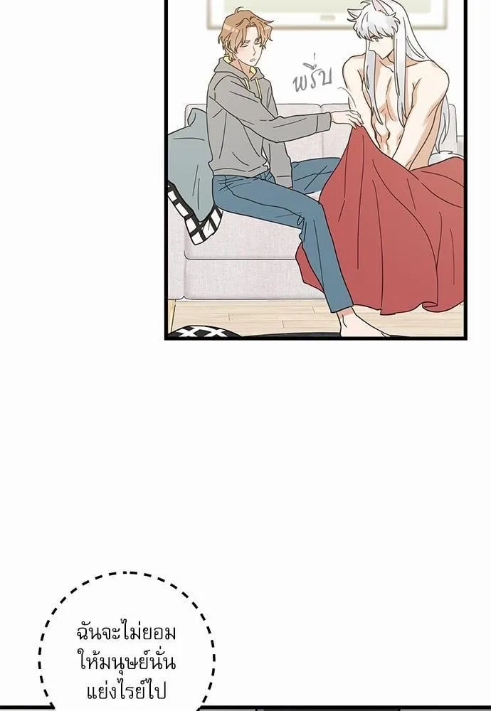 My One and Only Cat ตอนที่ 2566