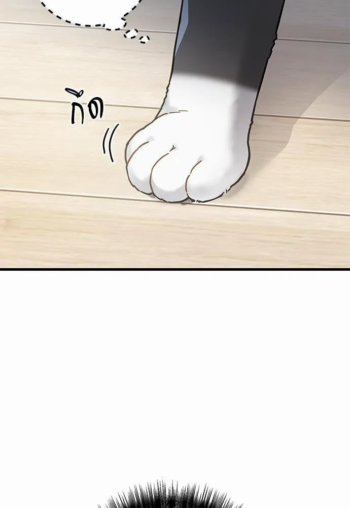 My One and Only Cat ตอนที่ 2567