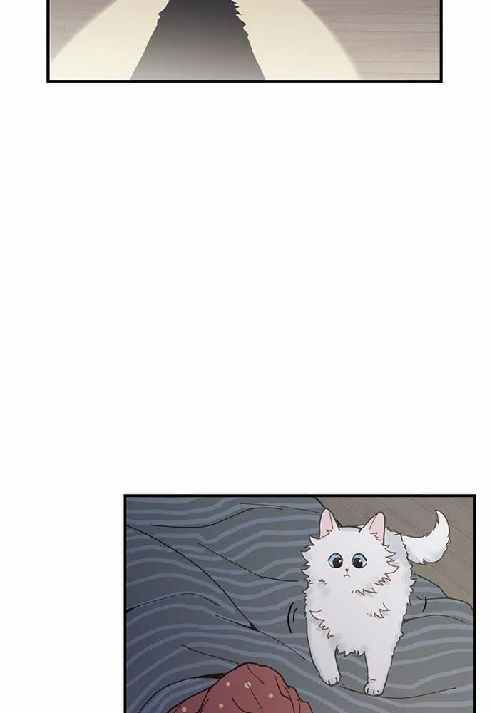 My One and Only Cat ตอนที่ 257 My One and Only Cat ตอนที่ 257