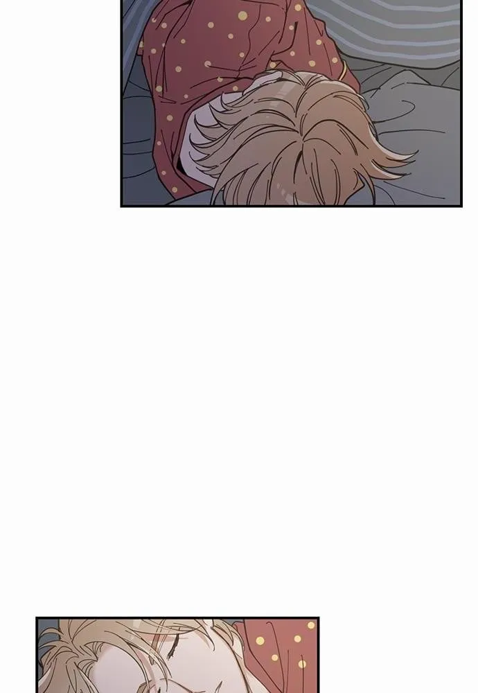 My One and Only Cat ตอนที่ 258 My One and Only Cat ตอนที่ 258