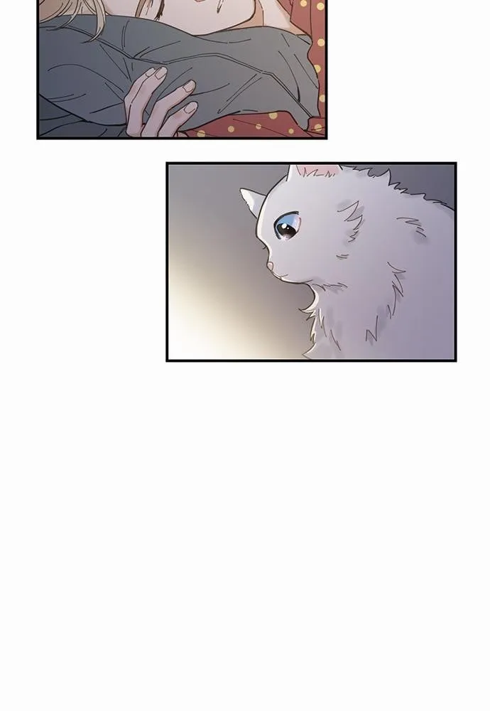 My One and Only Cat ตอนที่ 259 My One and Only Cat ตอนที่ 259