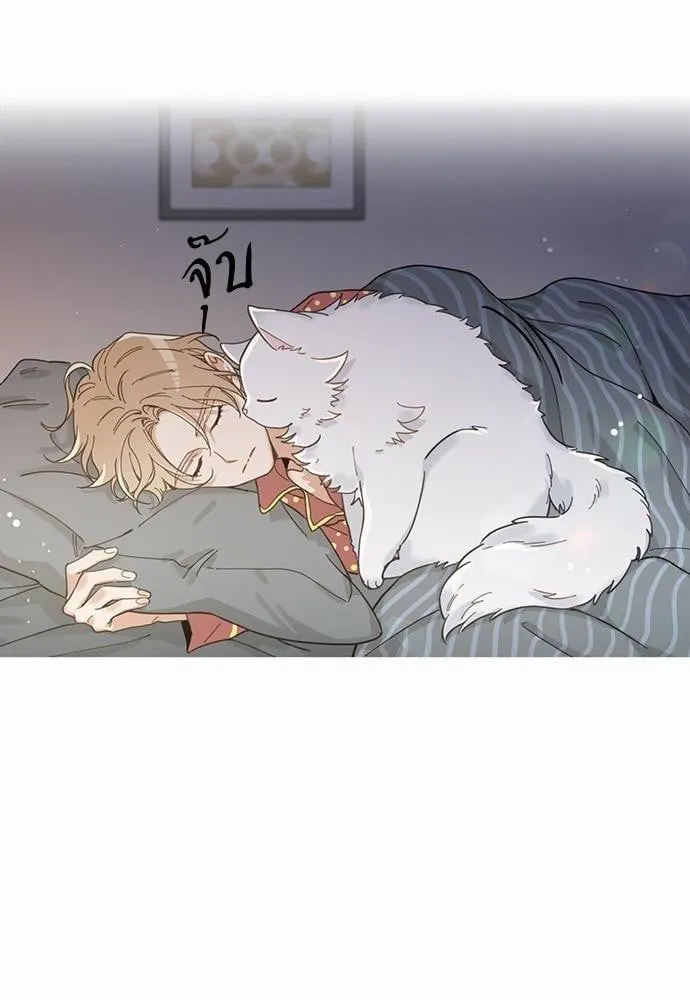 My One and Only Cat ตอนที่ 260 My One and Only Cat ตอนที่ 260