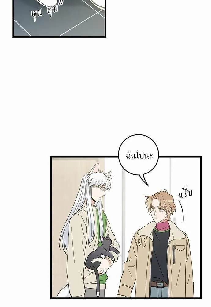 My One and Only Cat ตอนที่ 2602 My One and Only Cat ตอนที่ 2602