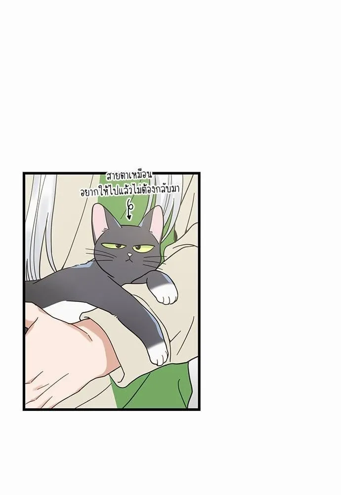 My One and Only Cat ตอนที่ 2603 My One and Only Cat ตอนที่ 2603