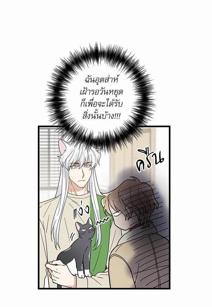 My One and Only Cat ตอนที่ 2605 My One and Only Cat ตอนที่ 2605