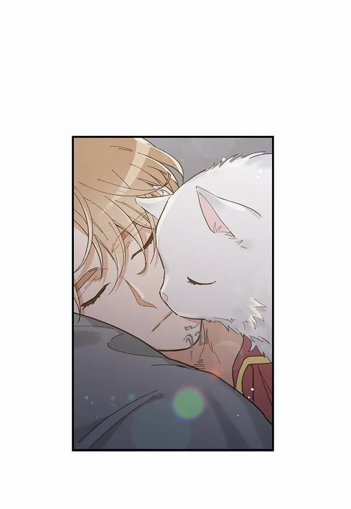 My One and Only Cat ตอนที่ 261 My One and Only Cat ตอนที่ 261