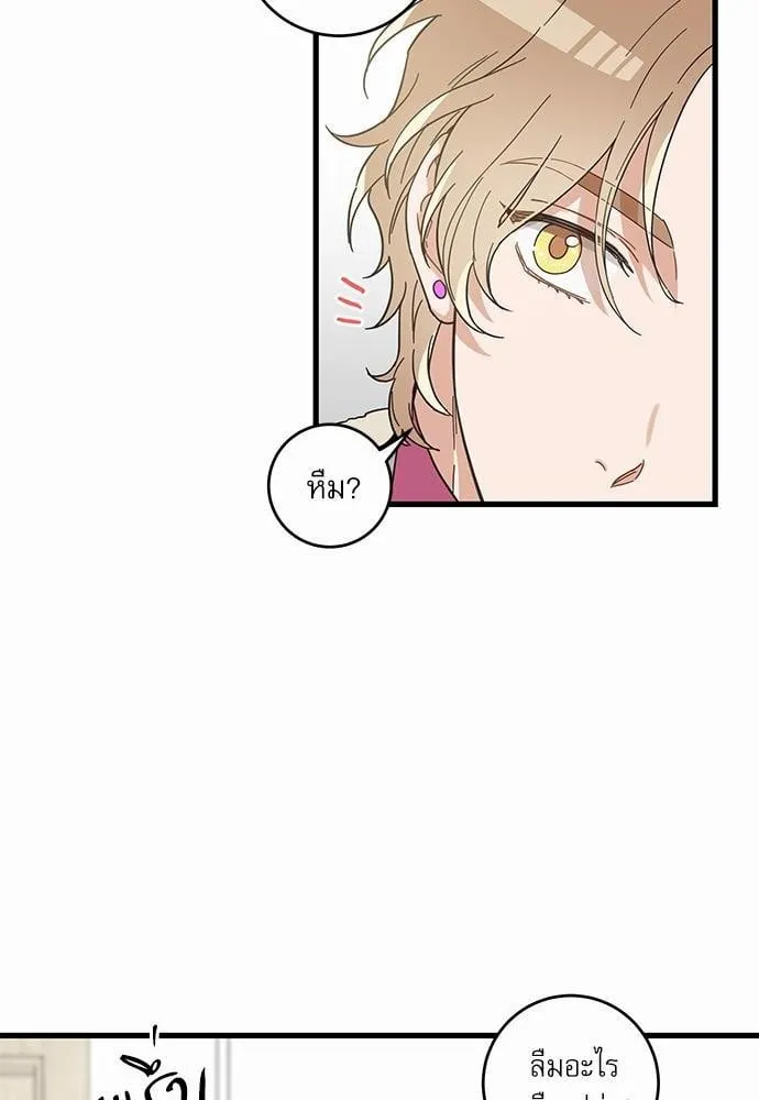 My One and Only Cat ตอนที่ 2610 My One and Only Cat ตอนที่ 2610