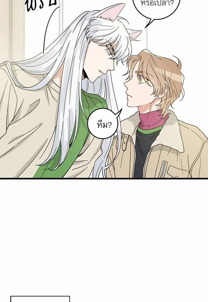 My One and Only Cat ตอนที่ 2611 My One and Only Cat ตอนที่ 2611