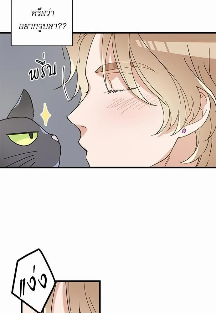 My One and Only Cat ตอนที่ 2612 My One and Only Cat ตอนที่ 2612