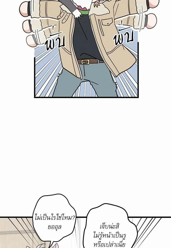 My One and Only Cat ตอนที่ 2614 My One and Only Cat ตอนที่ 2614