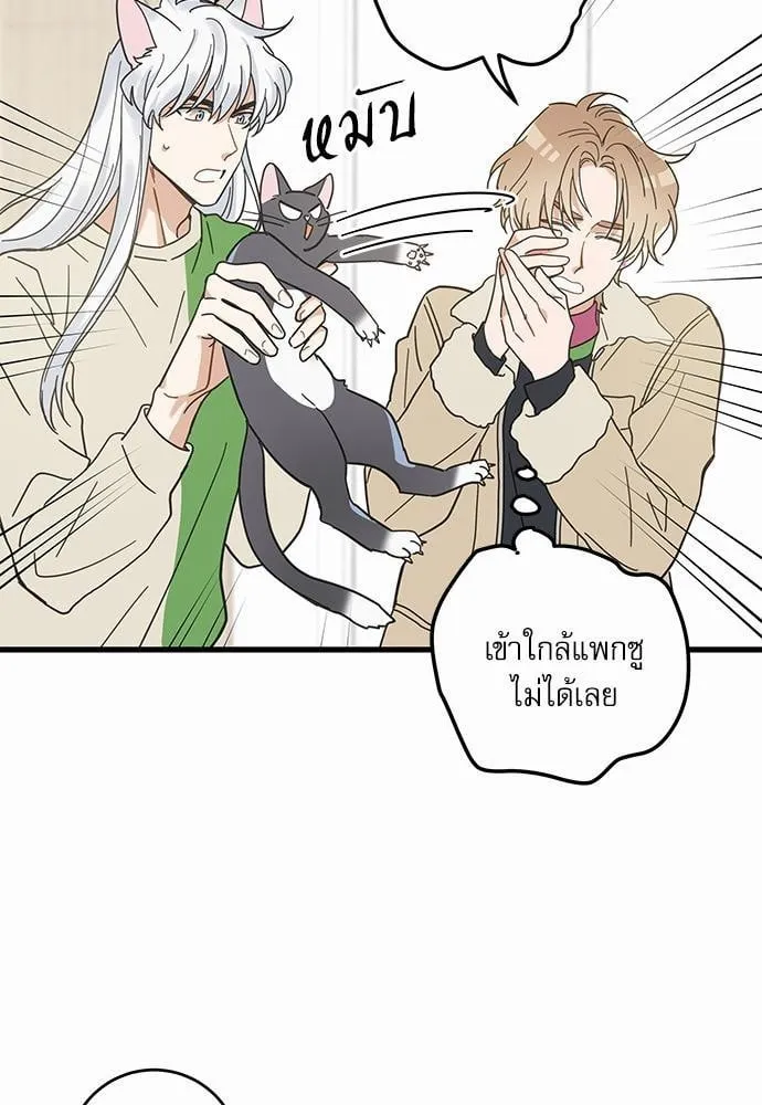 My One and Only Cat ตอนที่ 2615 My One and Only Cat ตอนที่ 2615