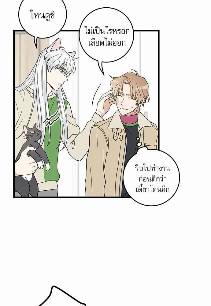 My One and Only Cat ตอนที่ 2616 My One and Only Cat ตอนที่ 2616