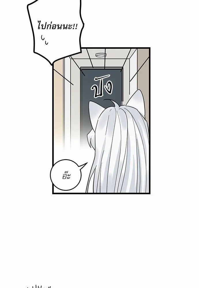 My One and Only Cat ตอนที่ 2617 My One and Only Cat ตอนที่ 2617