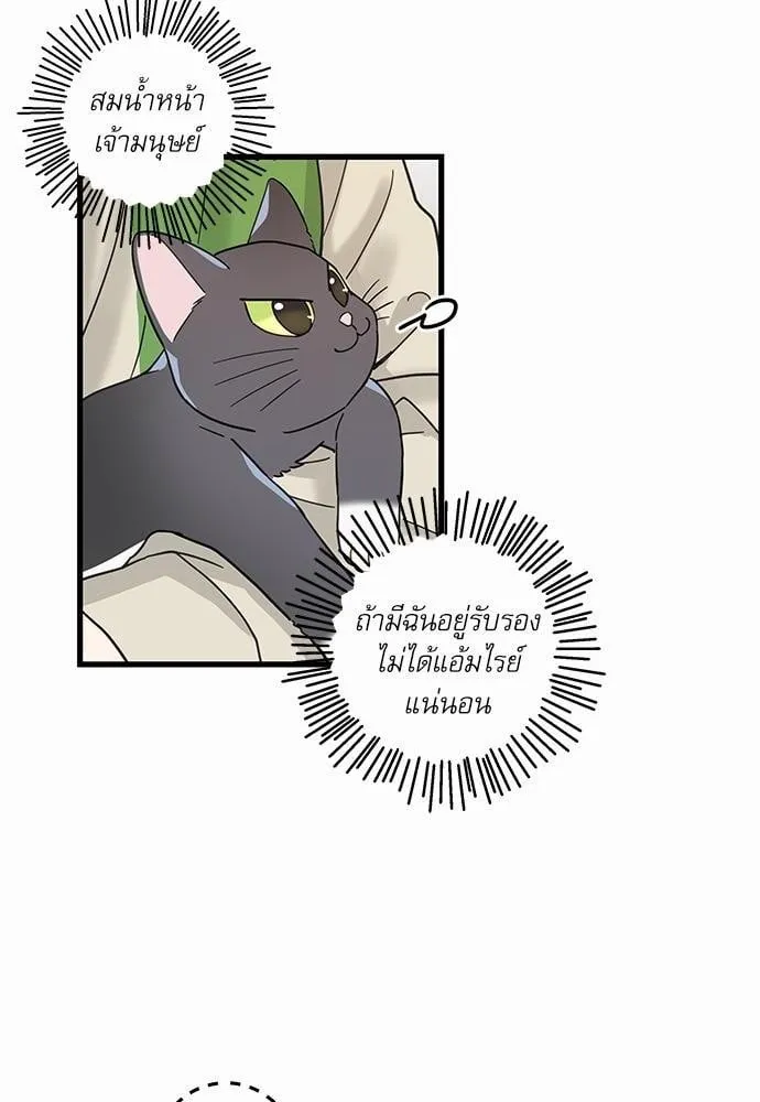My One and Only Cat ตอนที่ 2618 My One and Only Cat ตอนที่ 2618