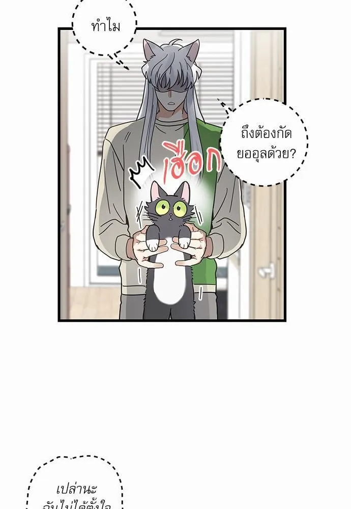 My One and Only Cat ตอนที่ 2619 My One and Only Cat ตอนที่ 2619