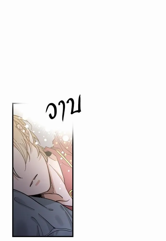 My One and Only Cat ตอนที่ 262 My One and Only Cat ตอนที่ 262