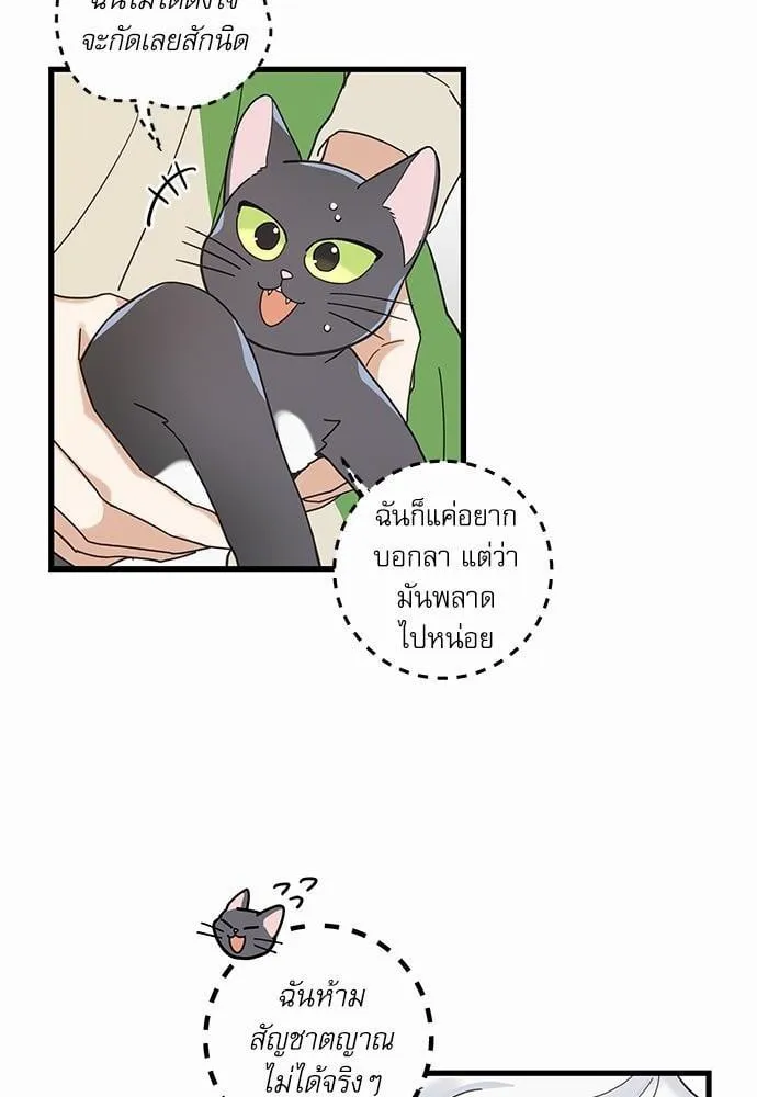 My One and Only Cat ตอนที่ 2620 My One and Only Cat ตอนที่ 2620