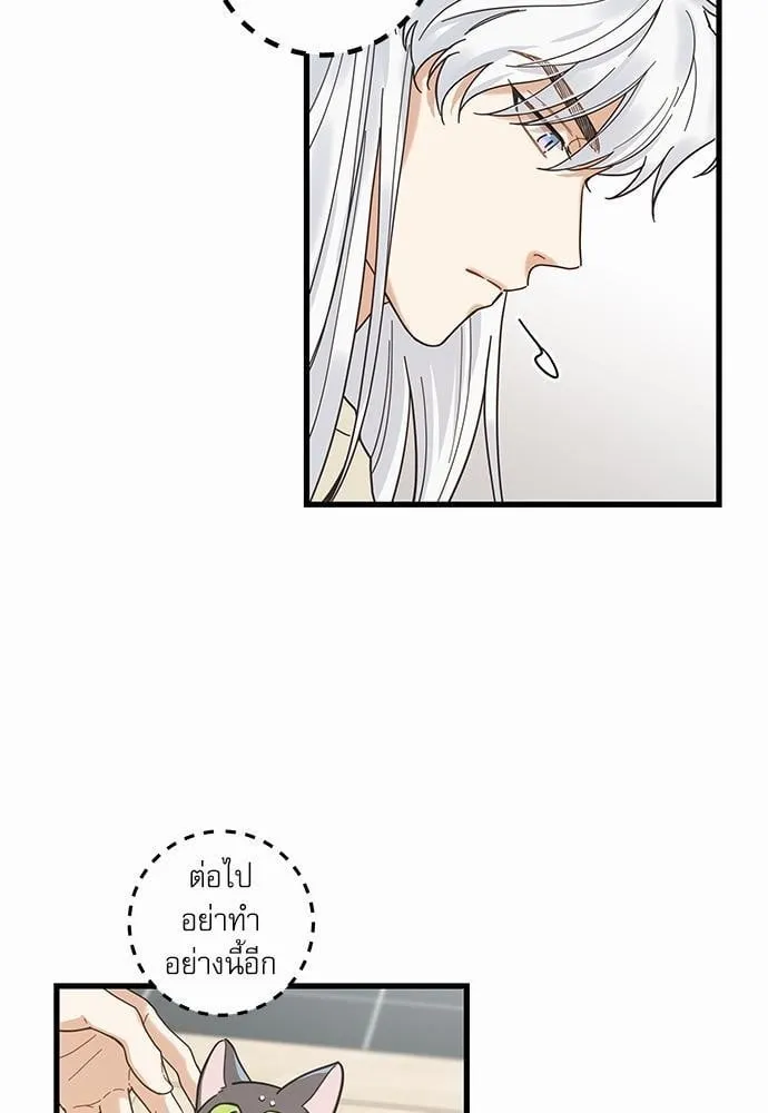 My One and Only Cat ตอนที่ 2621 My One and Only Cat ตอนที่ 2621