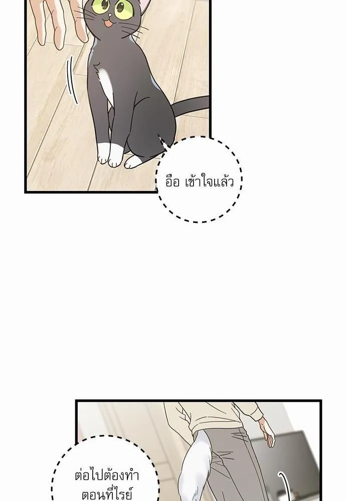 My One and Only Cat ตอนที่ 2622 My One and Only Cat ตอนที่ 2622